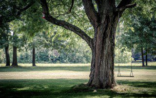 rural home development - kiamie real estate